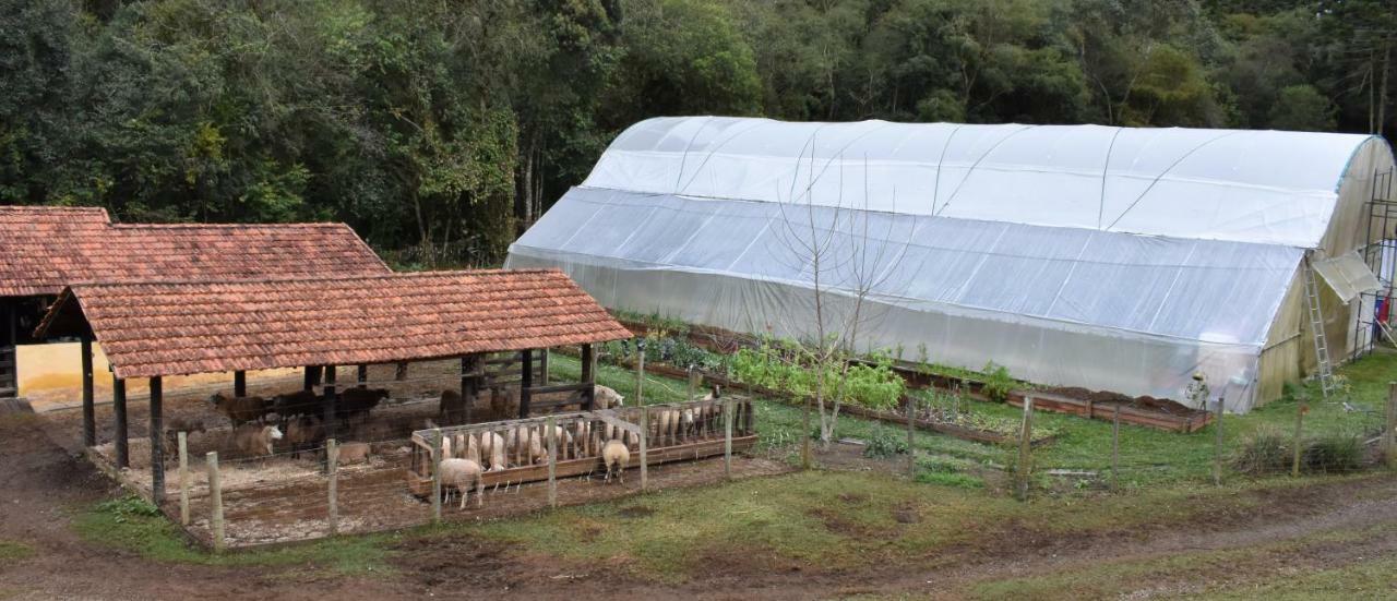 库尼亚Chalet Da Hortensias别墅 外观 照片
